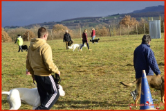 051_02-01-2016
