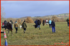 065_02-01-2016