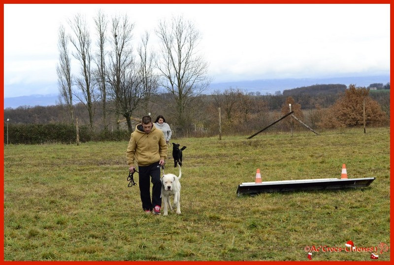 005_02-01-2016