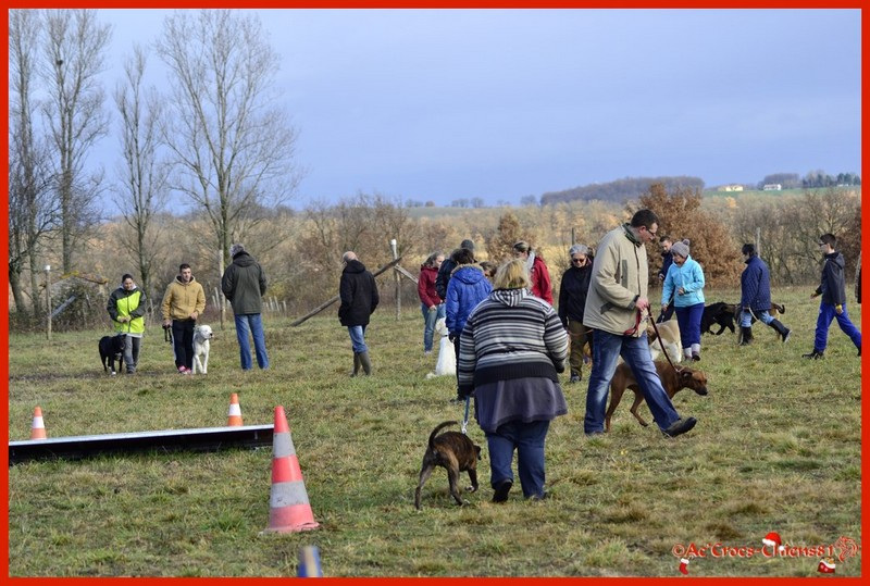 068_02-01-2016