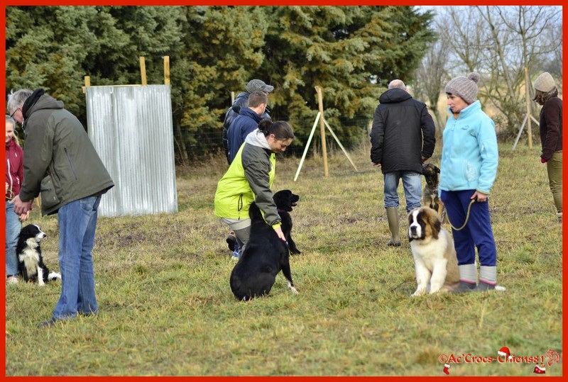 089_02-01-2016