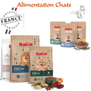 Alimentation ~ Chats