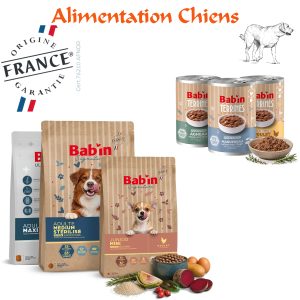 Alimentation ~ Chiens