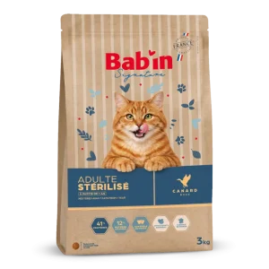 Chat Adulte - Canard