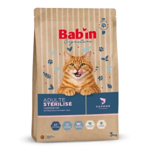 Chat Adulte - Saumon