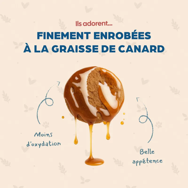 Chat Adulte - Canard – Image 3