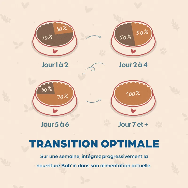 Chat Adulte - Canard – Image 5