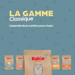 Chat Adulte Classique - Canard