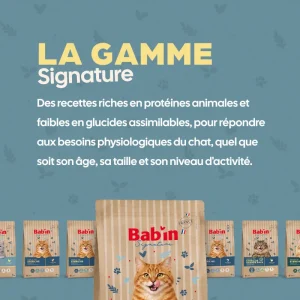 Chat Adulte - Canard