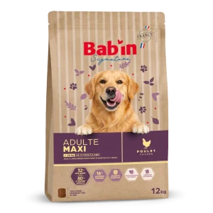 Maxi Adulte - Poulet