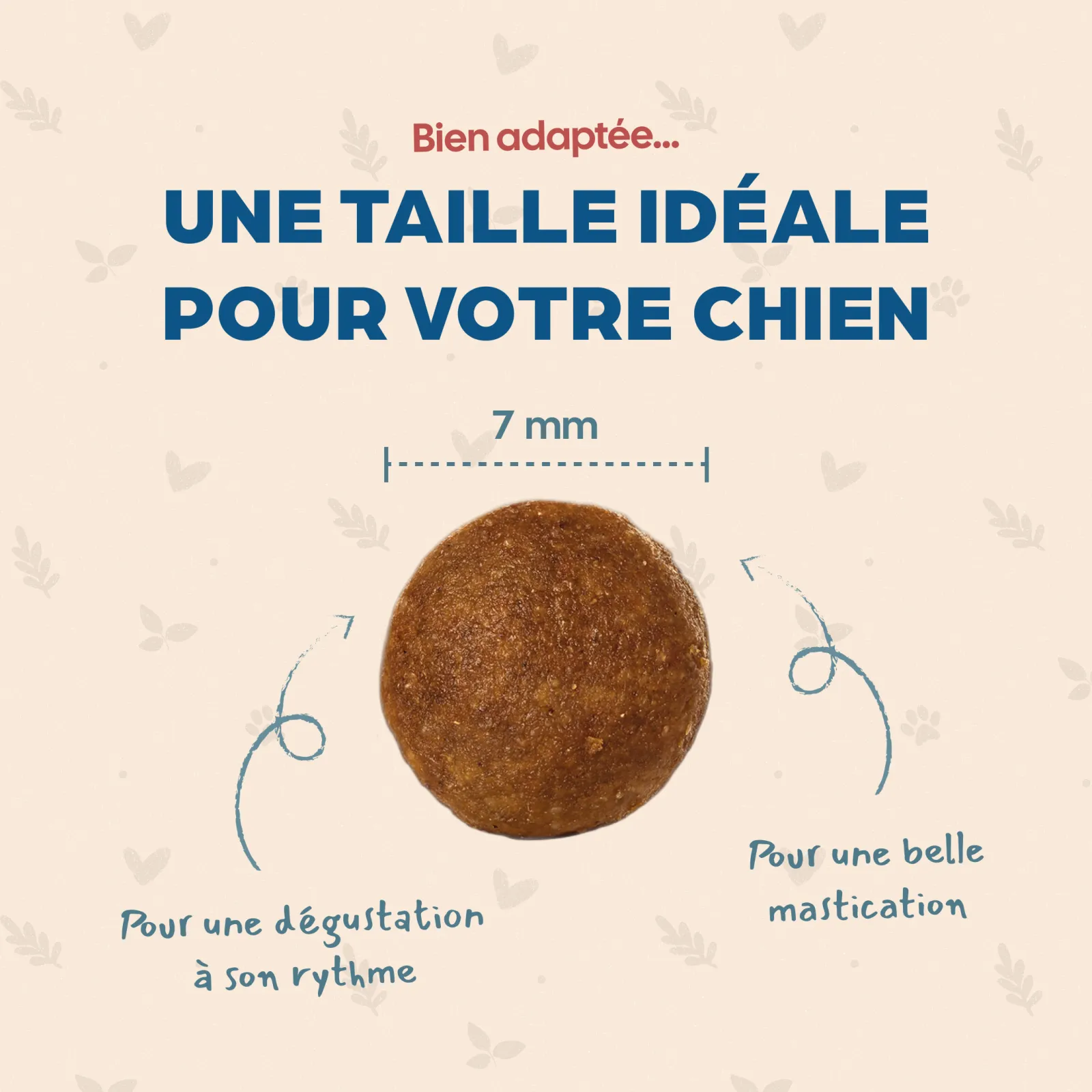 Mini Junior - Poulet – Image 5