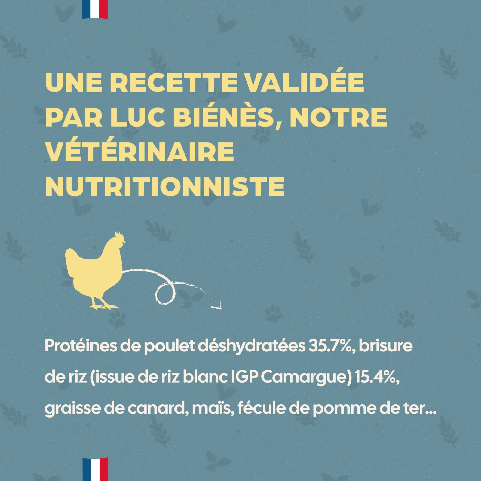 Mini Junior - Poulet – Image 4